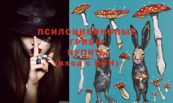 прущая мука Касимов