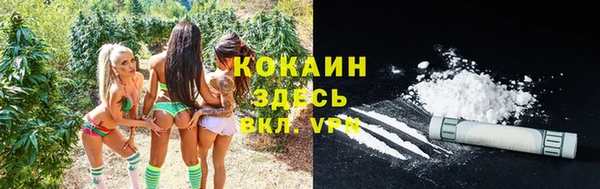 спайс Кинешма