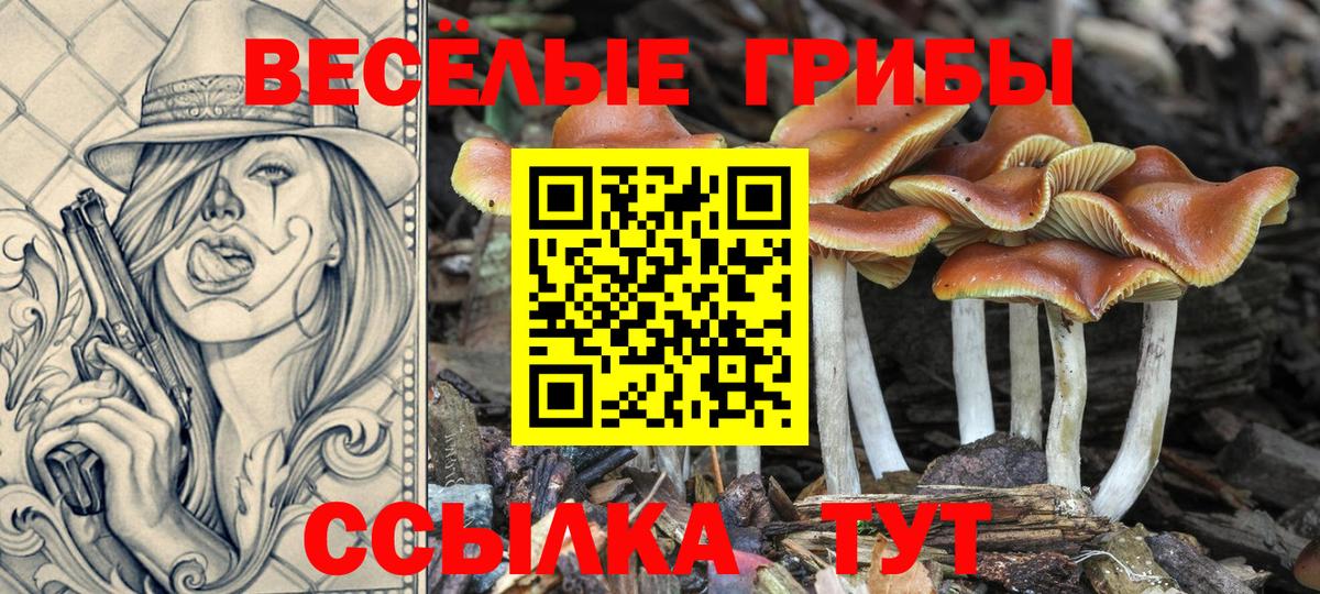 Меф мяу мяу Брянск