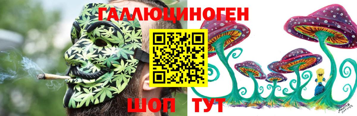 Галлюциногенные грибы Psilocybe  Брянск 