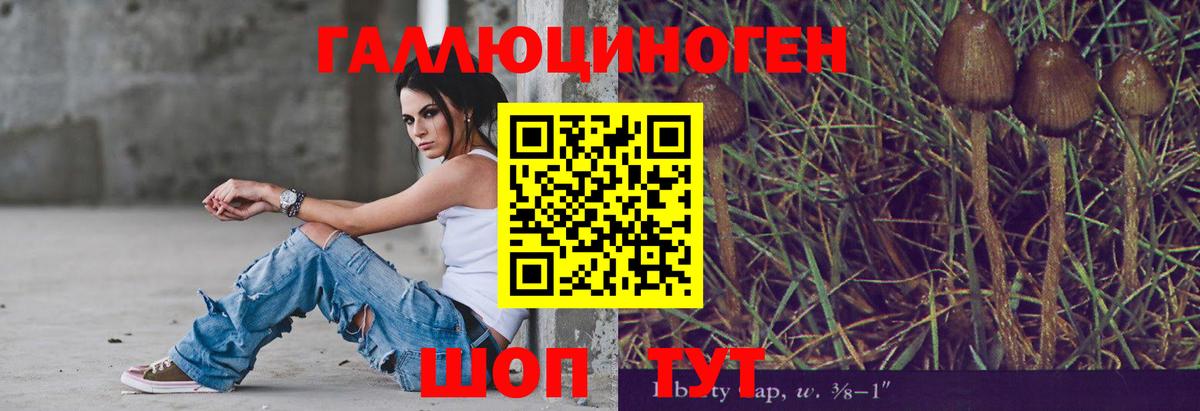 Псилоцибиновые грибы ЛСД Брянск