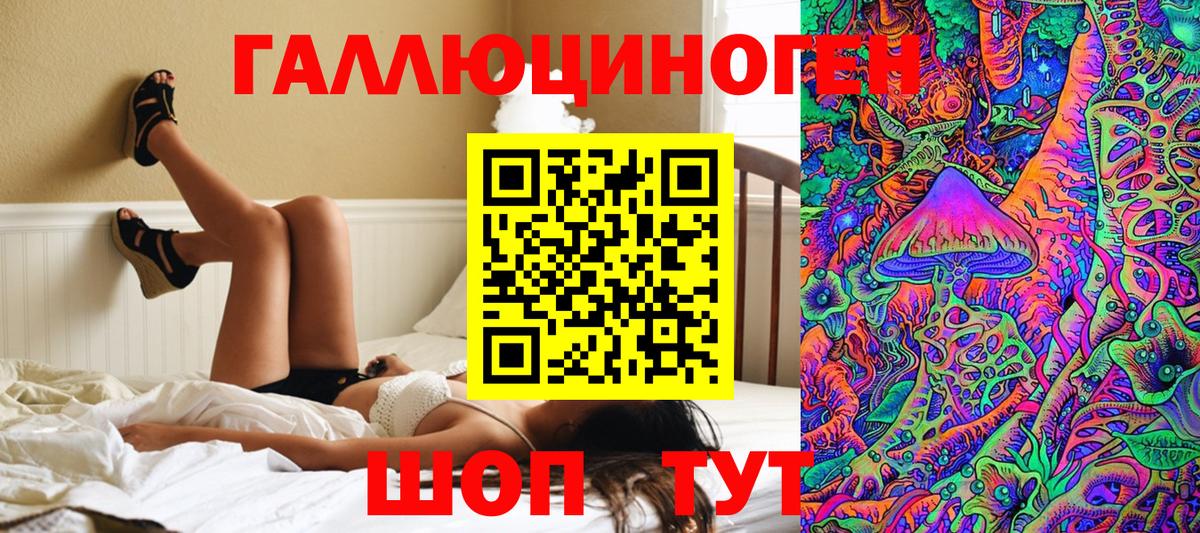 Брянск  как найти закладки  Вход с VPN  Галлюциногенные грибы Psilocybe 